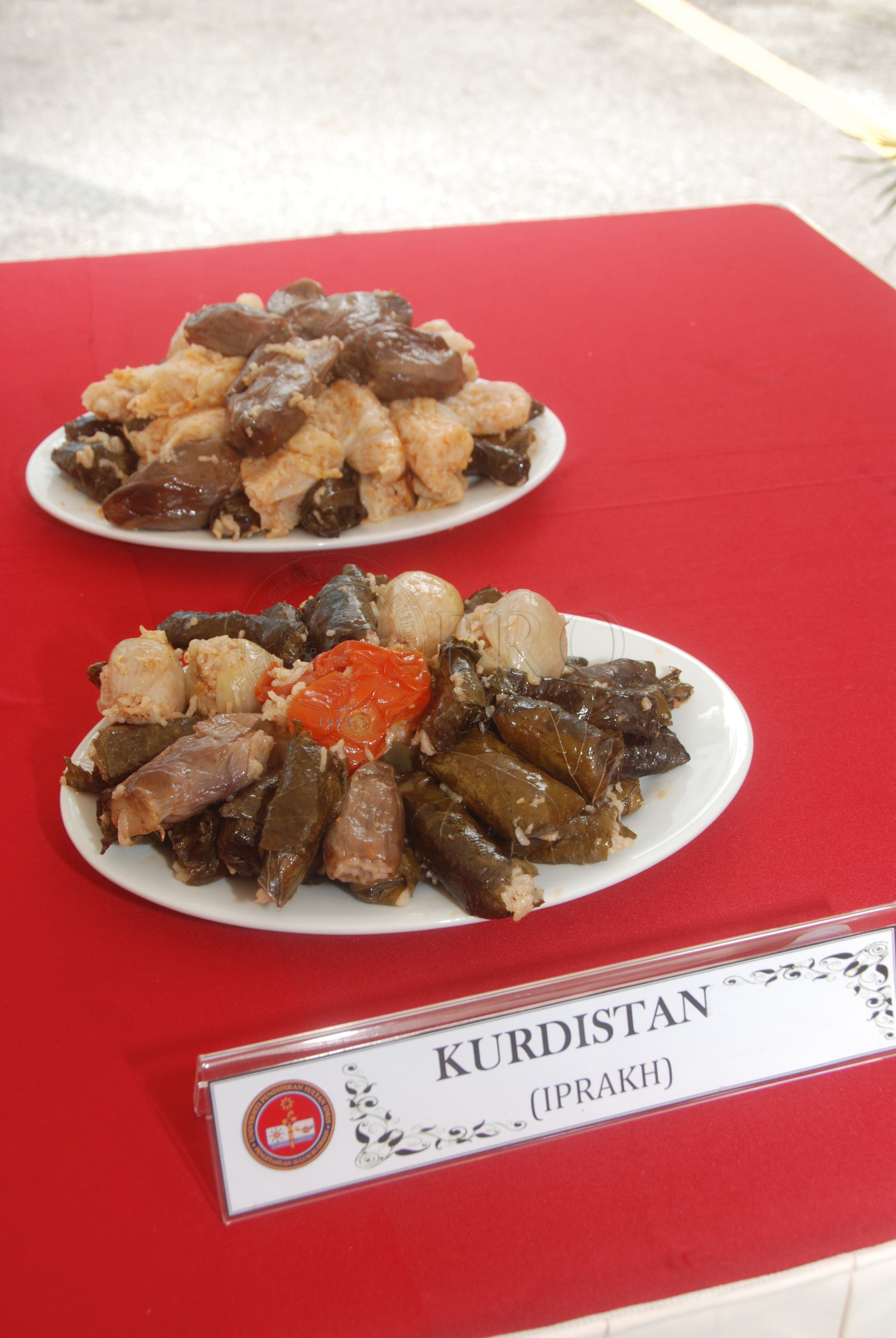 PRO 12 136 food DSC 9147